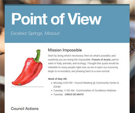 Point of View newsletter v2 issue 18