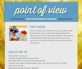 Point of View, Vol. 5 Issue 18
